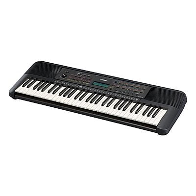 Yamaha PSR-E273 61-Key Portable Keyboard with Power Adapter-VARIATION